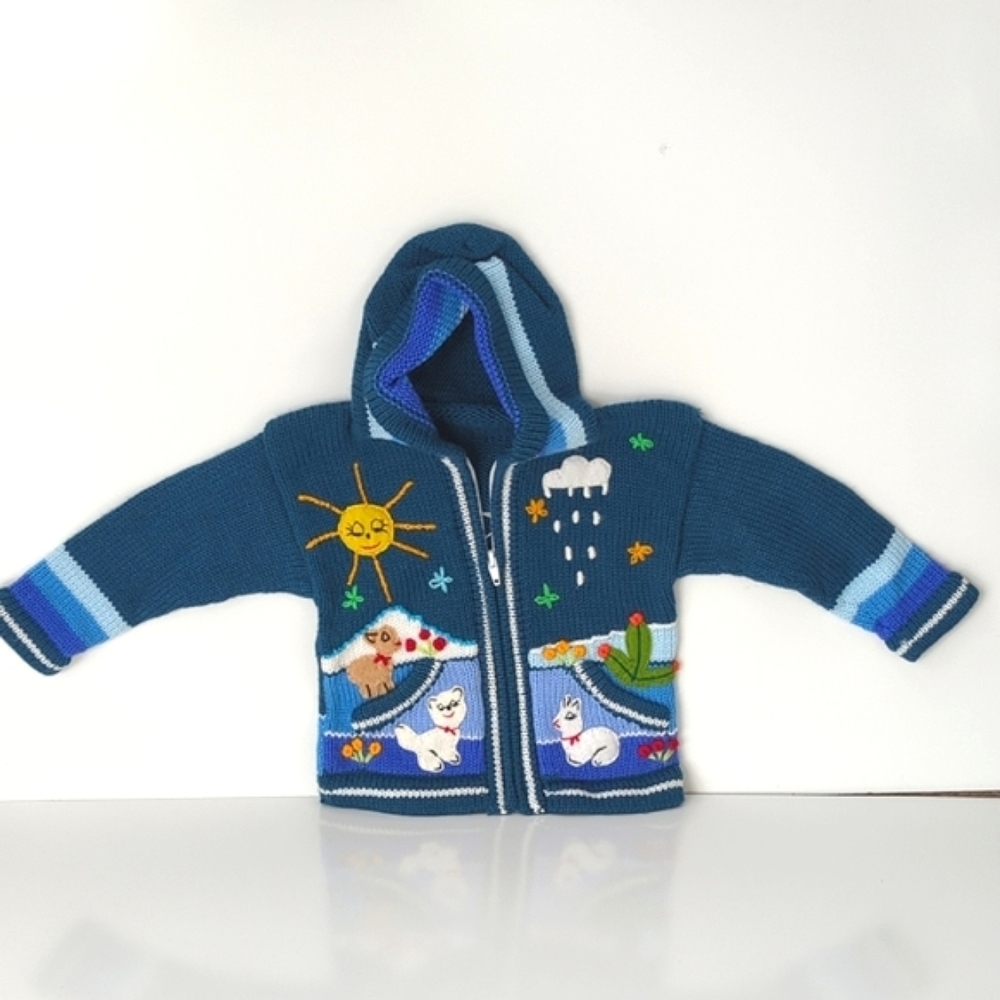 Peruvian Wool Knitted Kids Blue Hoodie with Fun Embroidery